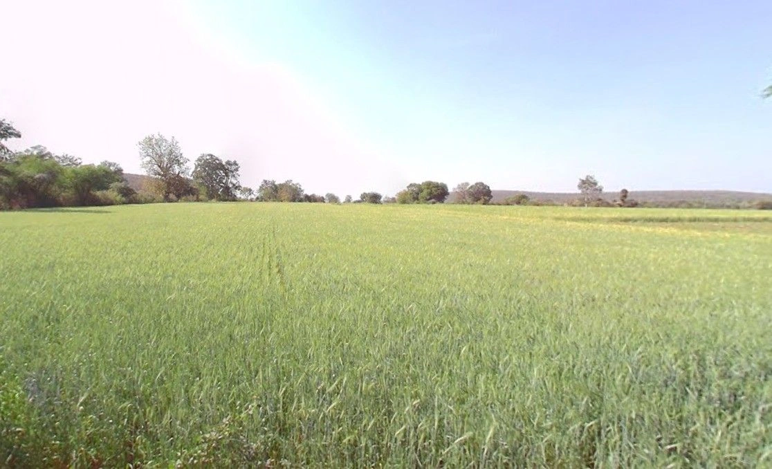 Parsoli, Madhya Pradesh 456550, India