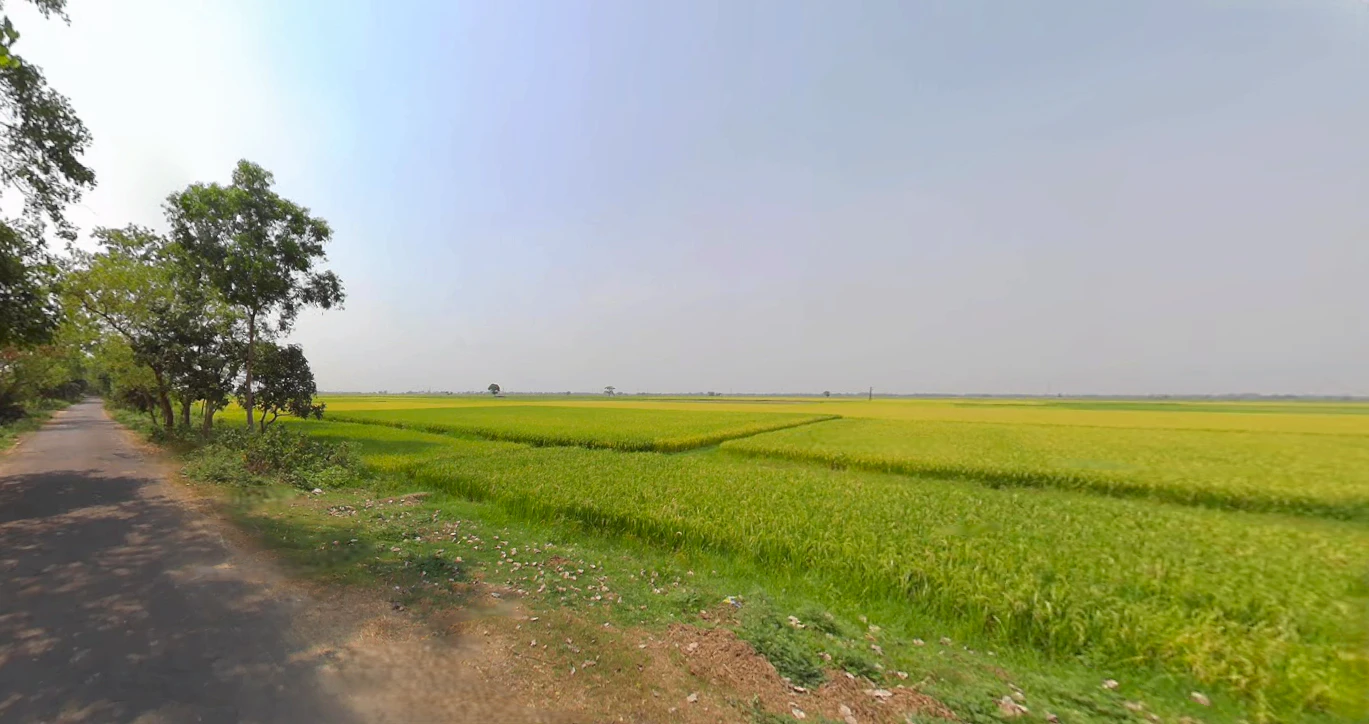 PJCQ+48J, Dhenkanal, Dudhakateni, Odisha 759013, India