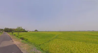 Semiliguda, Odisha 764036, India preview 3