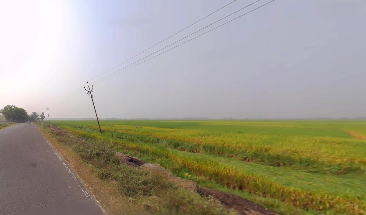 Pokhariput, Bhubaneswar, Odisha, India