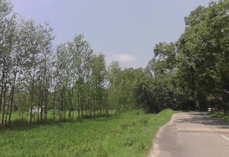 Behat, Uttar Pradesh 247121, India