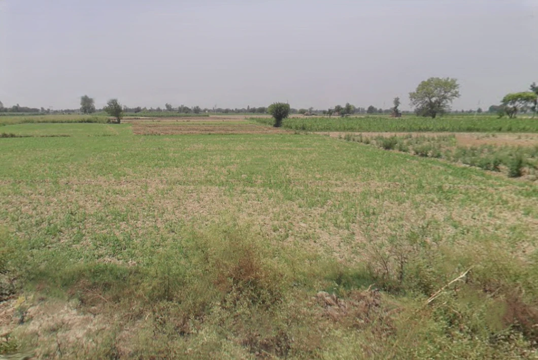 Kuchesar, Uttar Pradesh 203402, India