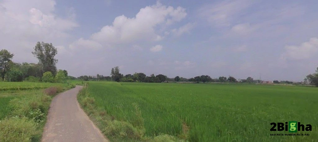 Sonaee Kazehra, Uttar Pradesh, India