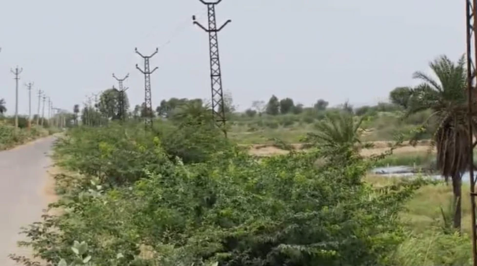 WF4X+9H Kalakho, Dausa, Rajasthan, India