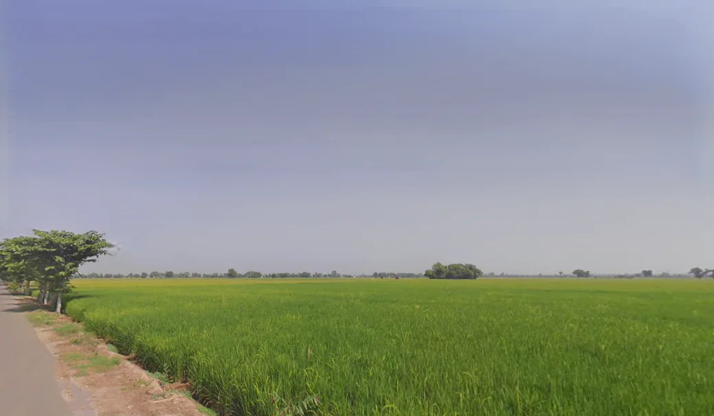 Ahlisadar, Haryana 125050, India preview 3