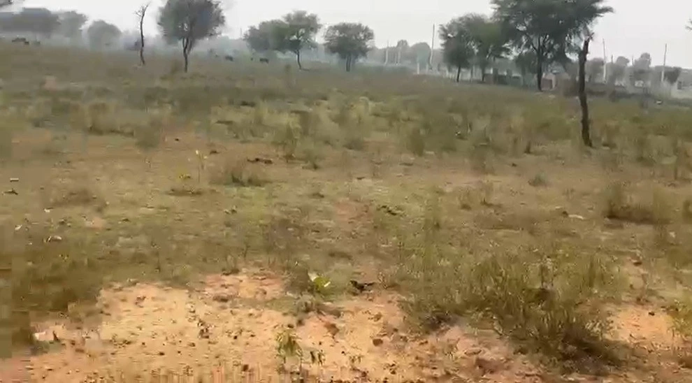 PWF2+RM Prahladpura, Rajasthan, India