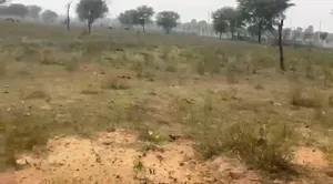 PWF2+RM Prahladpura, Rajasthan, India preview 2