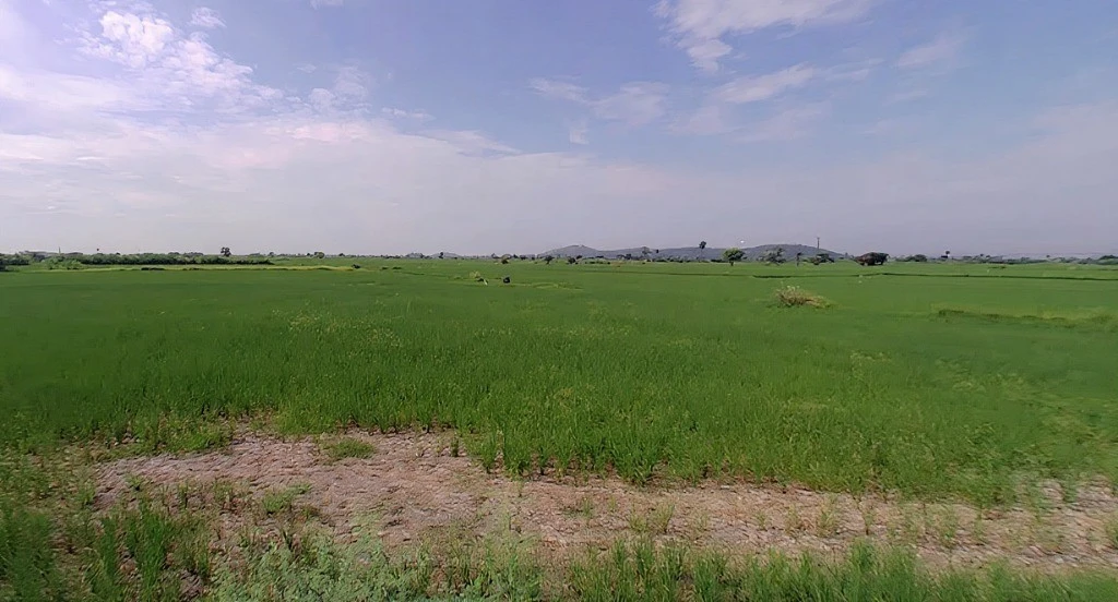 Mandkola, Haryana 121103, India