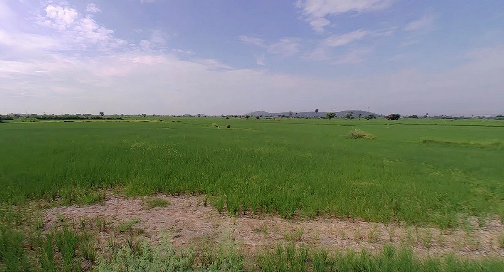 Mandkola, Haryana 121103, India