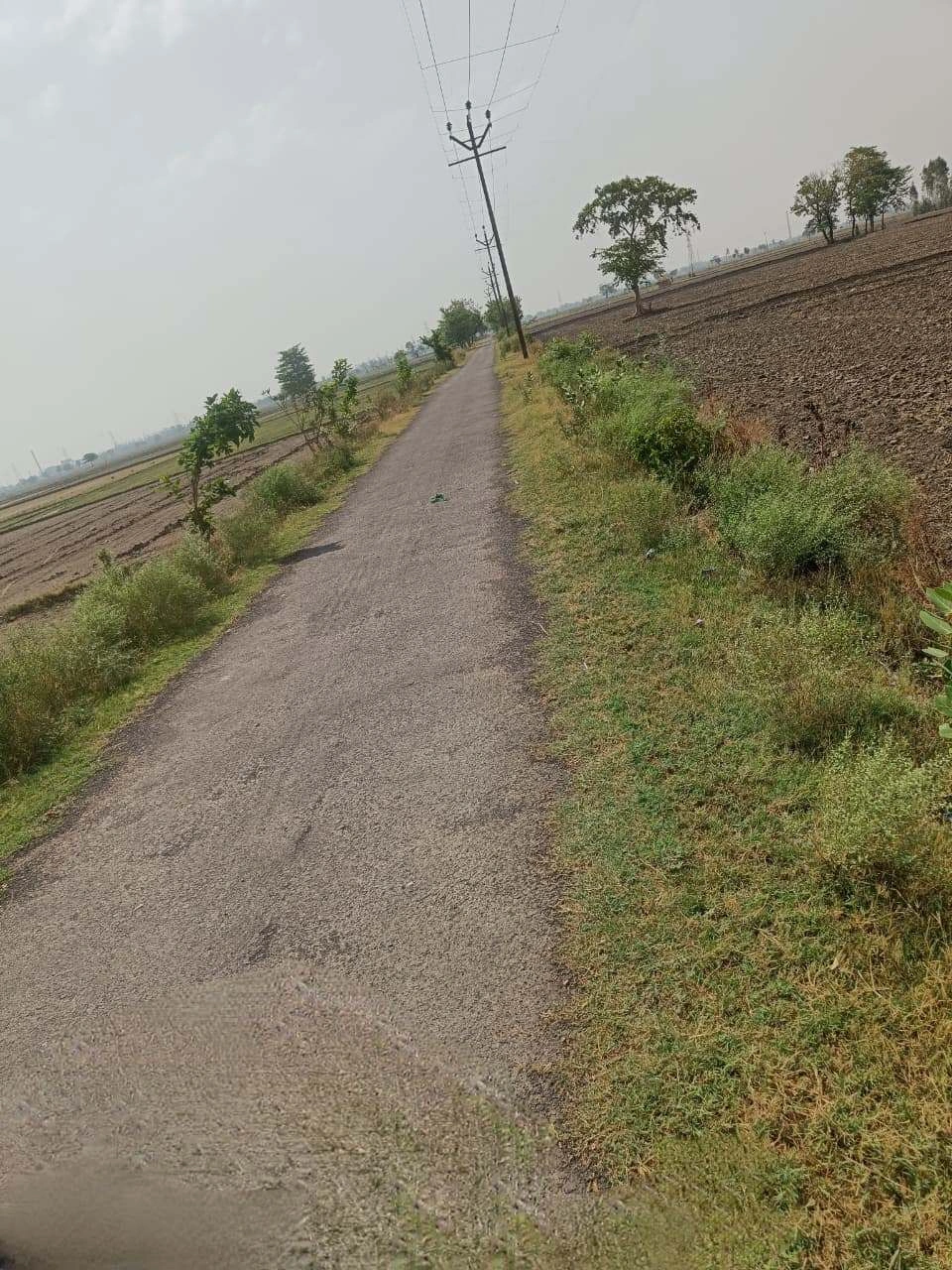 Aou, Rajasthan, India