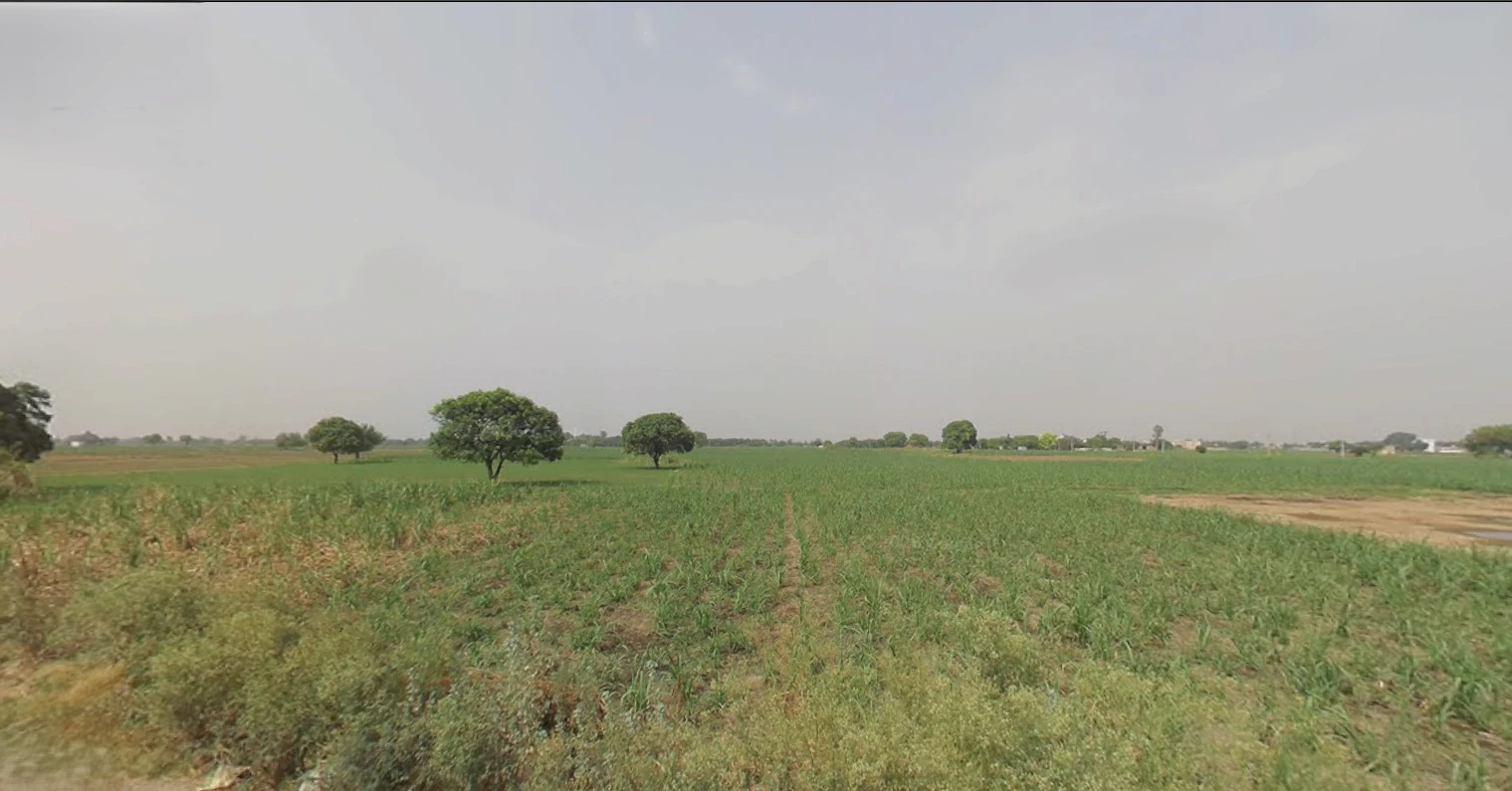 Lakhimpur, Uttar Pradesh 262701, India