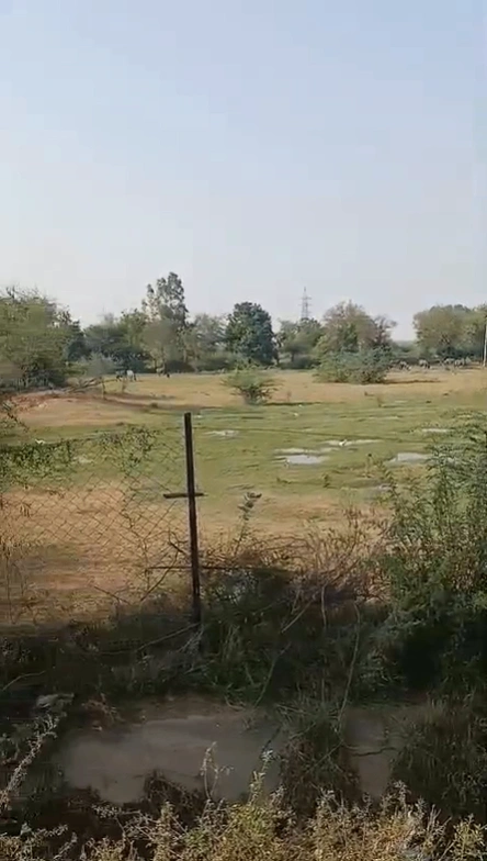 Sanadra, Gujarat, India