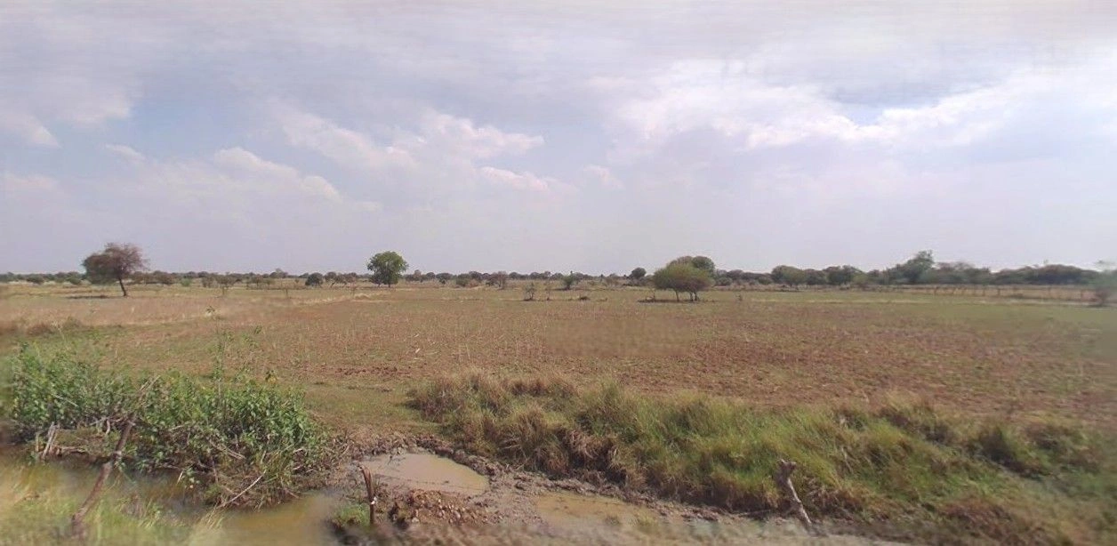 Suratgarh, Rajasthan 335804, India