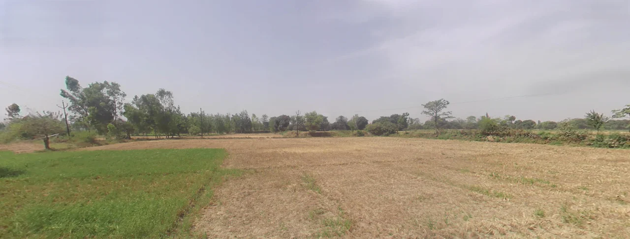 Shyampur, Uttarakhand 249408, India preview 3