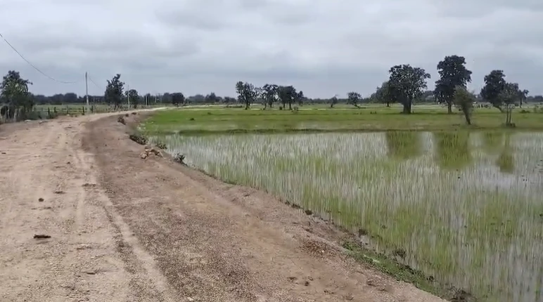 Chaukhada, Madhya Pradesh 486220, India