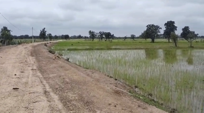 Chaukhada, Madhya Pradesh 486220, India