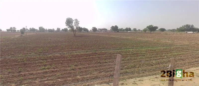 Surdhana Pariharan, Rajasthan 334201, India preview 2