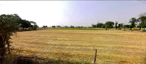 Tibbi, Haryana 134204, India preview 2
