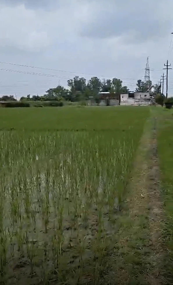 Bhalai, Uttar Pradesh 281205, India