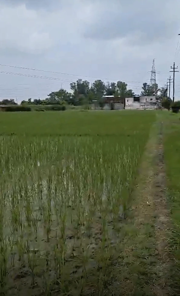 Bhalai, Uttar Pradesh 281205, India