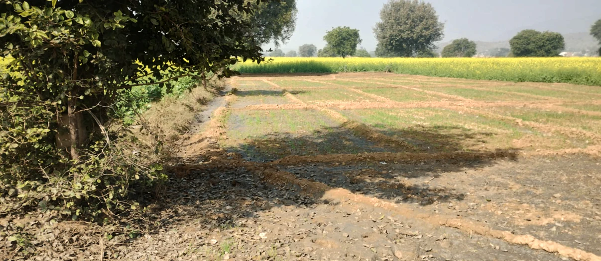 Balachaur, Punjab 144521, India