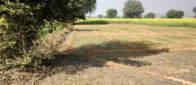 Balachaur, Punjab 144521, India preview 3