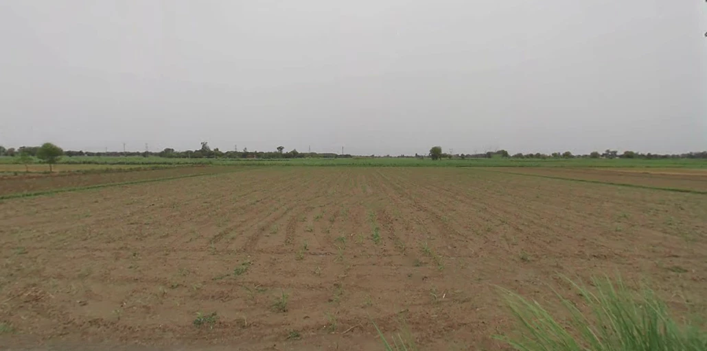 Baral, Uttar Pradesh 203408, India