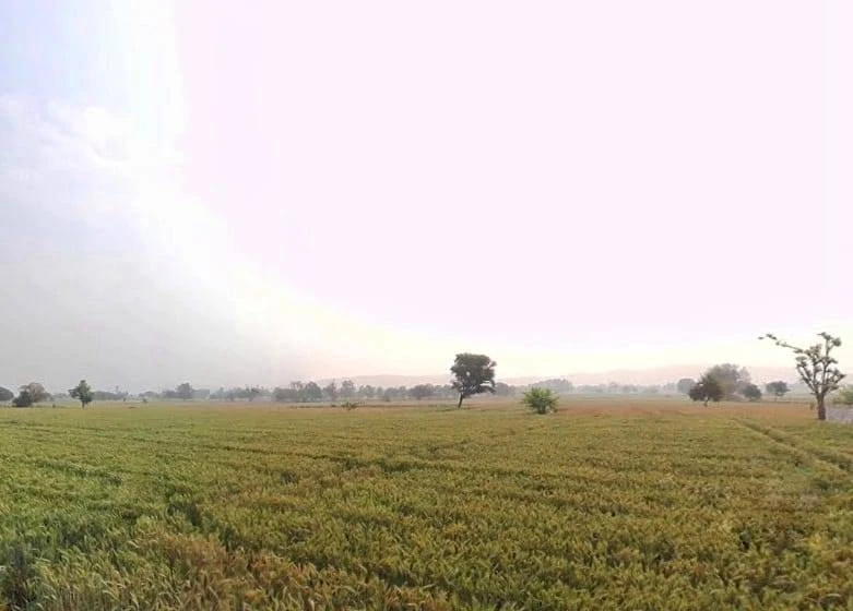 Moosa Khera, Rajasthan 301405, India