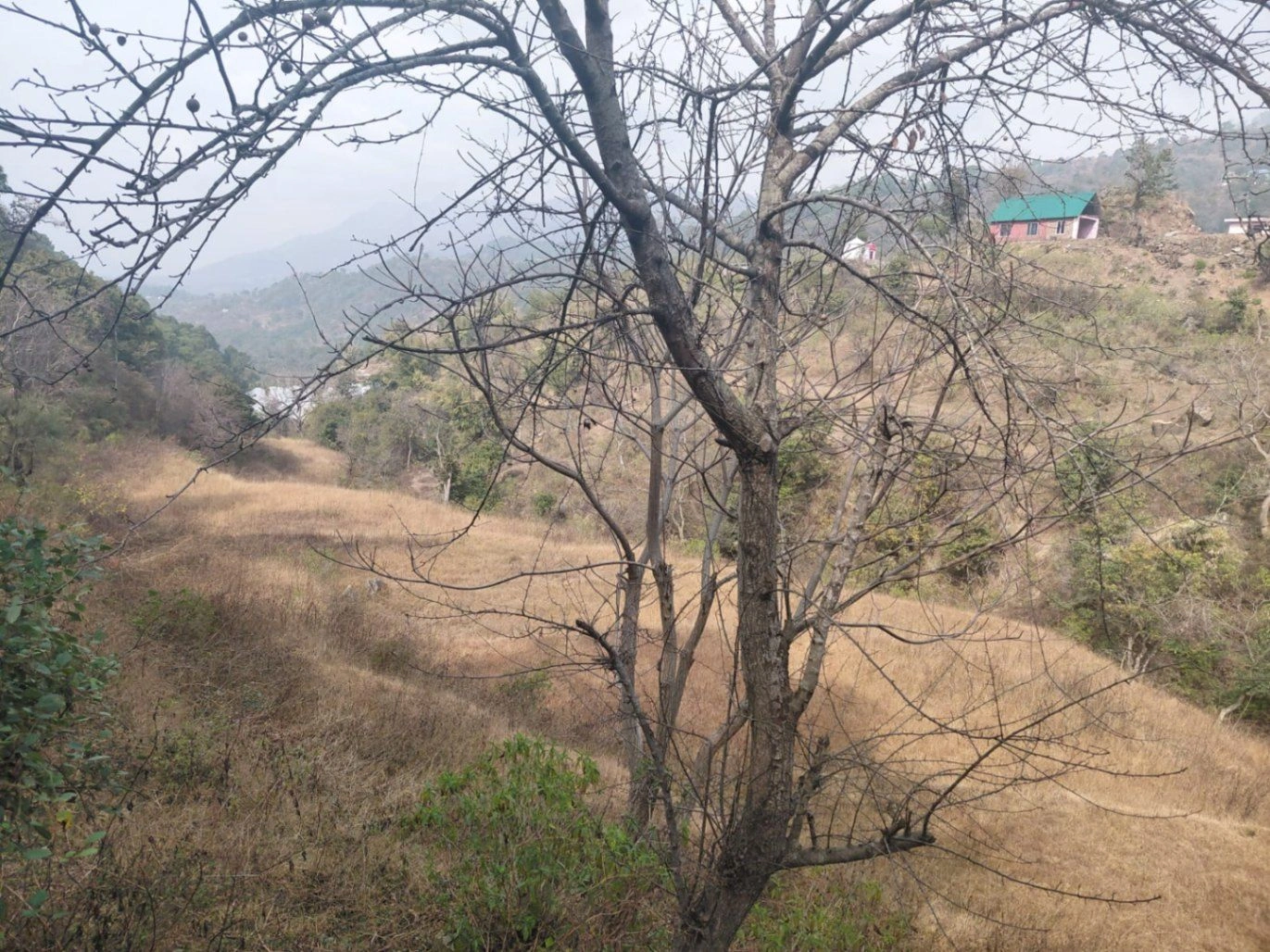 Morni Hills, Haryana, India preview 3