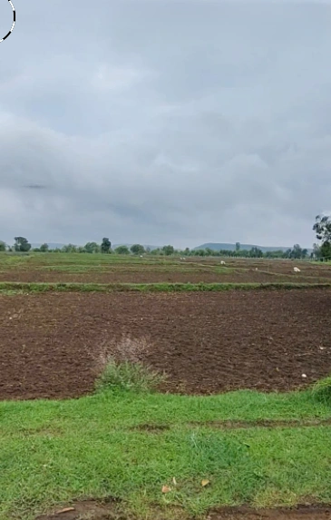 Sirol, Gwalior, Madhya Pradesh 474006, India