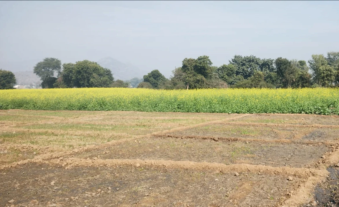 VP27+4M Bhanohad, Punjab, India