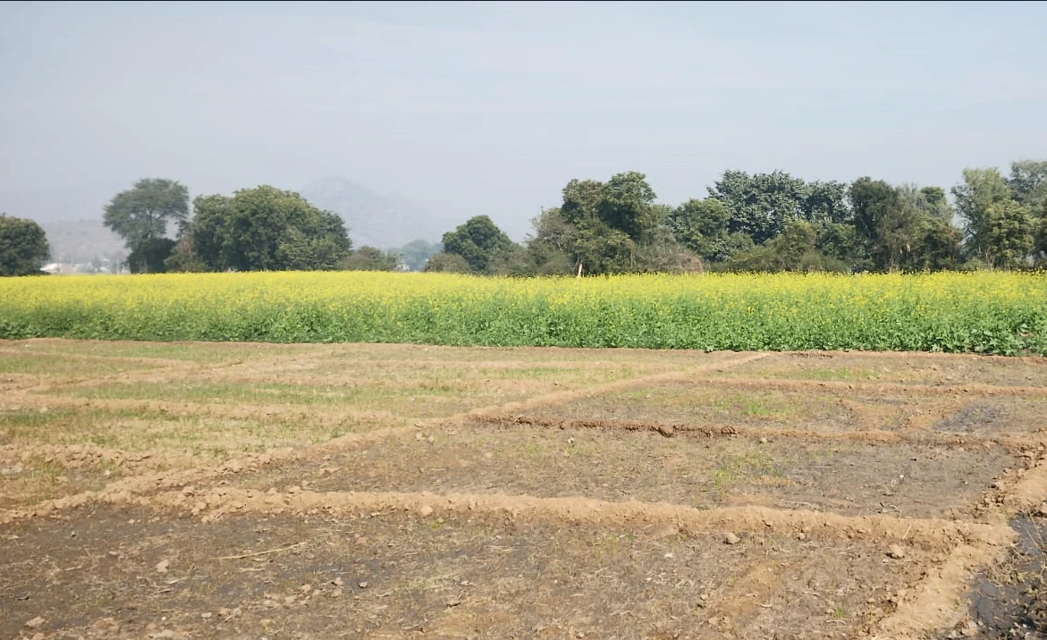 VP27+4M Bhanohad, Punjab, India
