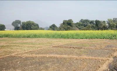 VP27+4M Bhanohad, Punjab, India preview 2
