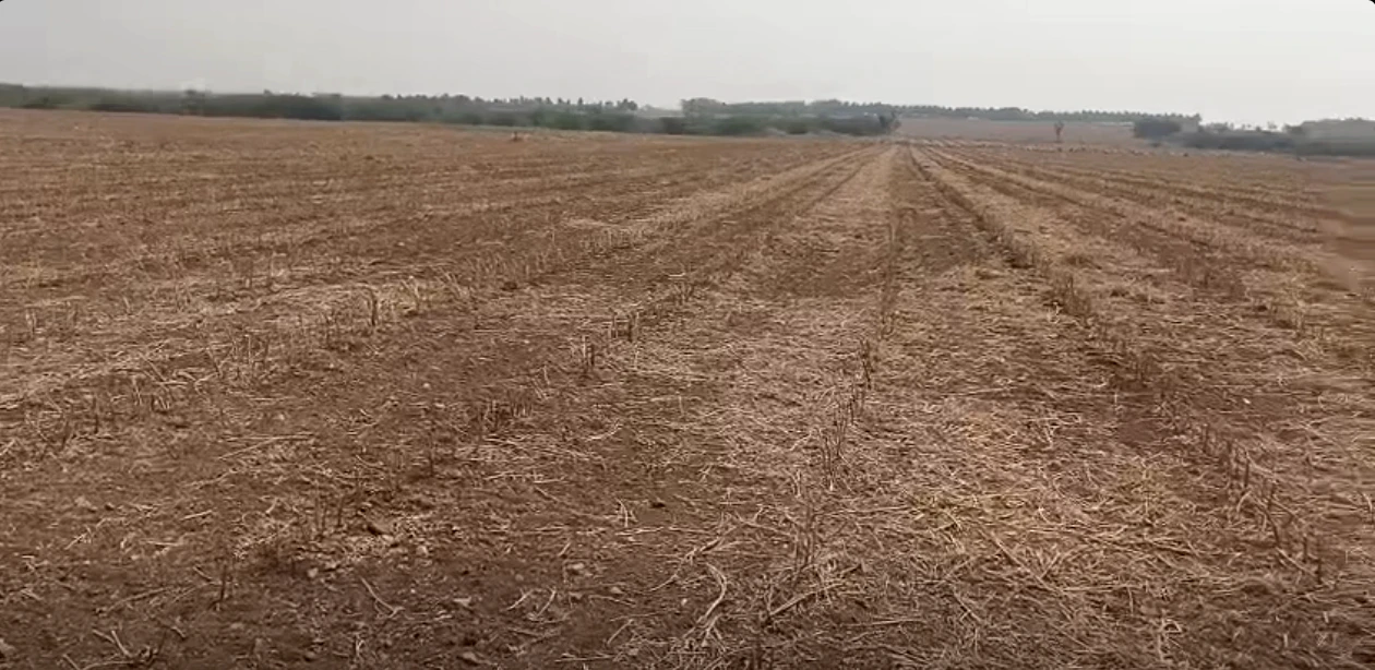 Roddam, Andhra Pradesh 515123, India