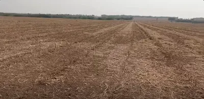 Roddam, Andhra Pradesh 515123, India preview 3