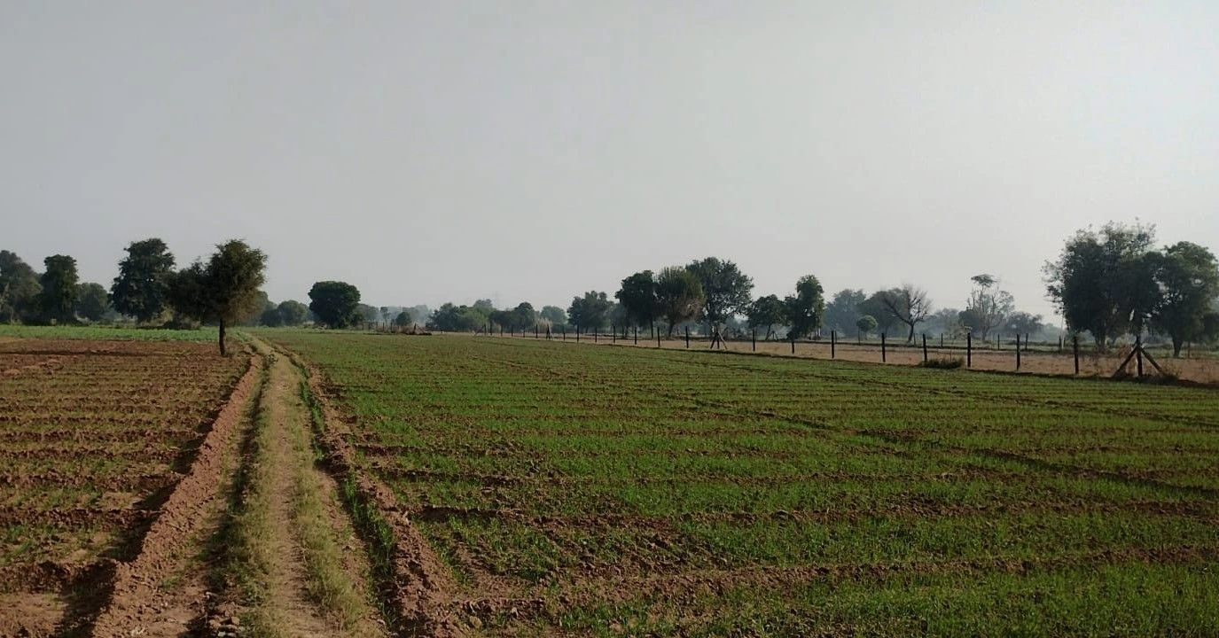 Pehal, Rajasthan 301404, India
