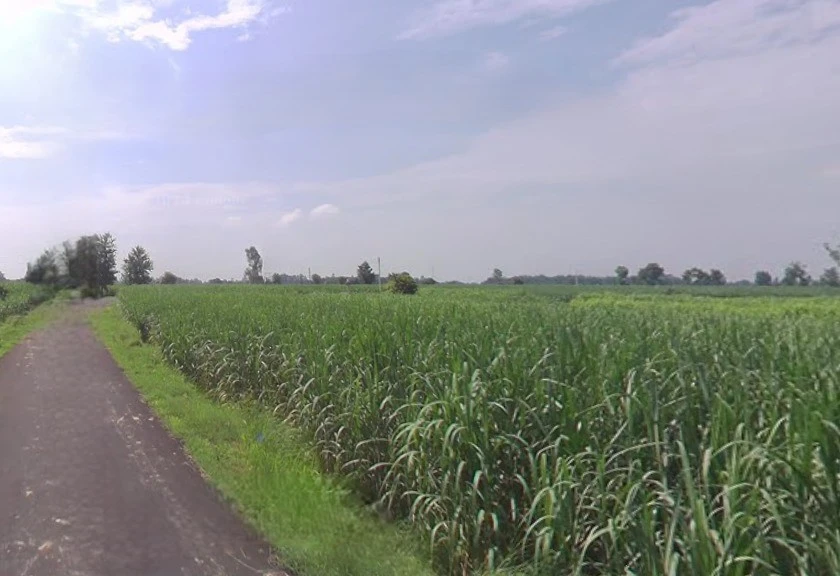 Jansath - Muzaffarnagar Rd, Uttar Pradesh, India