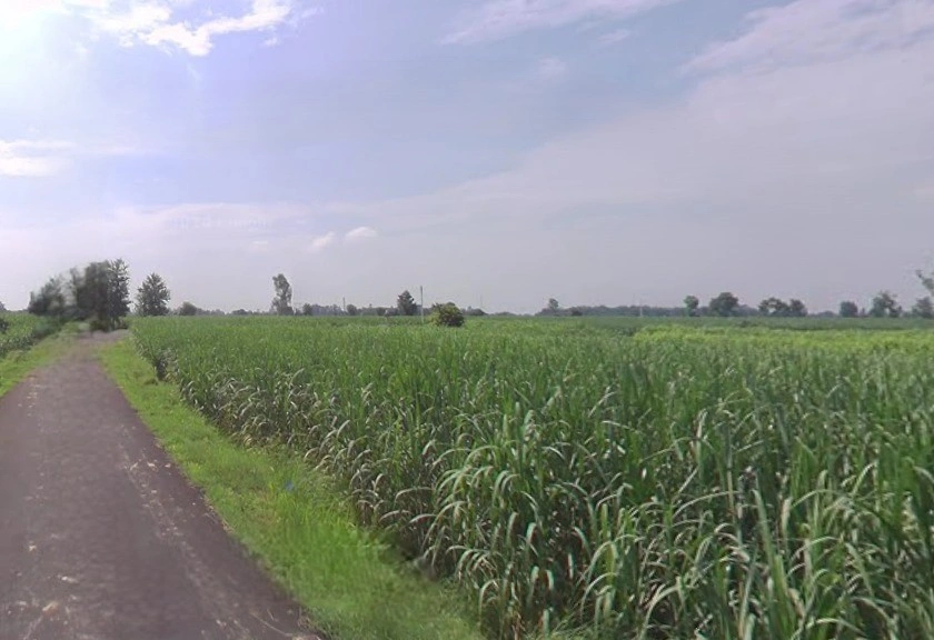 Jansath - Muzaffarnagar Rd, Uttar Pradesh, India