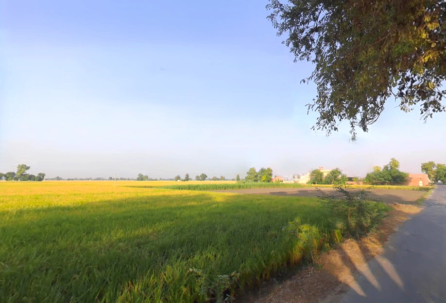 Kariwala, Haryana 125075, India