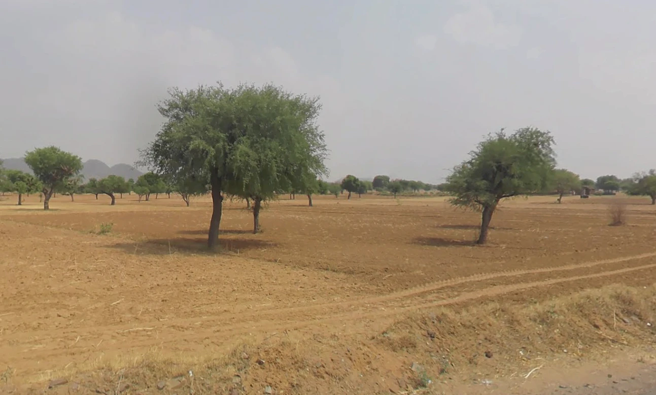Morni Hills, Haryana, India