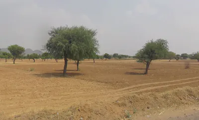 Morni Hills, Haryana, India preview 2