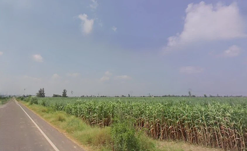 Budhana, Uttar Pradesh 251309, India