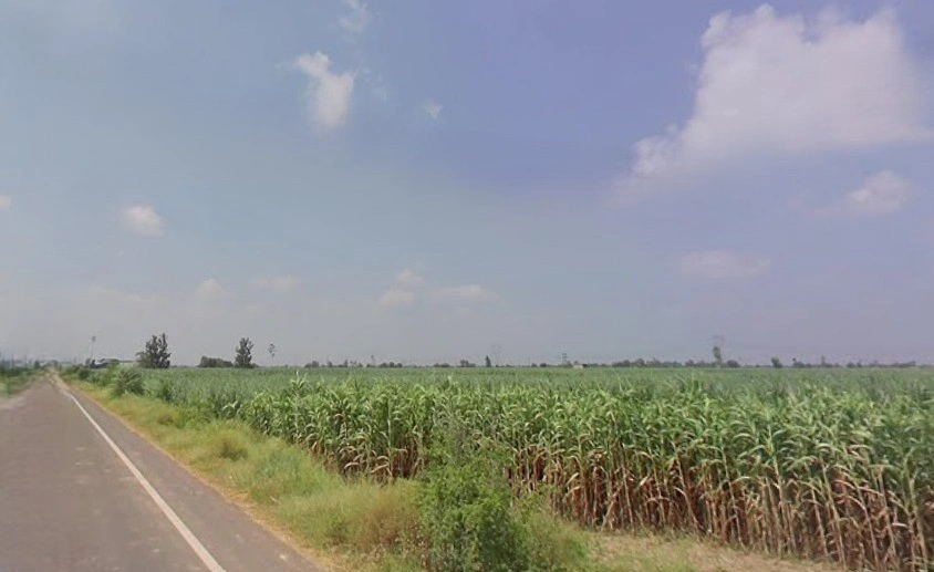 Budhana, Uttar Pradesh 251309, India