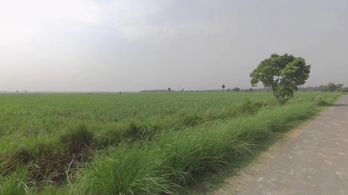 Khilwai, Uttar Pradesh 245205, India