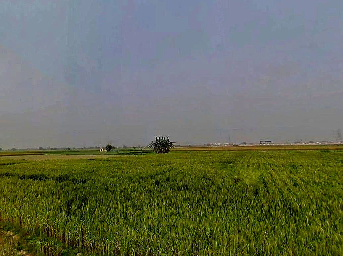 6QRQ+2Q, Bargaon, Rajasthan 324008, India