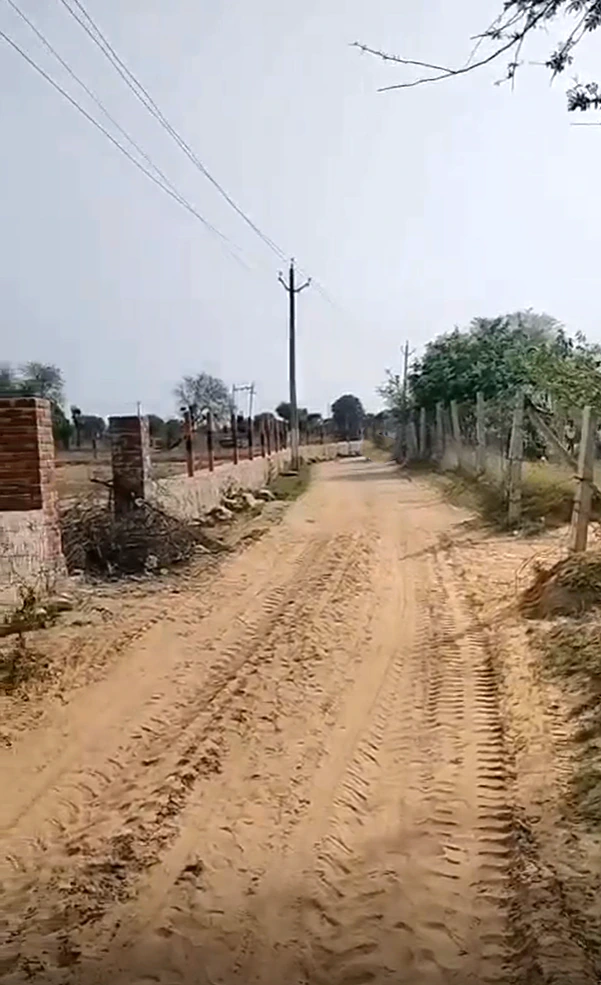 MR2F+W5C, Teetriya, Rajasthan 303903, India