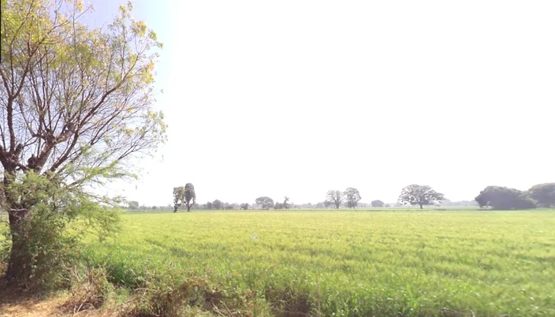 Hatpipliya, Madhya Pradesh 455223, India preview 3