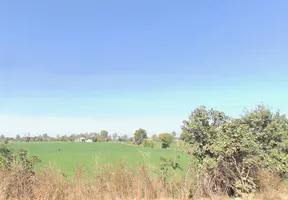 AIIMS Campus Rd, AIIMS Campus, Saket Nagar, Habib Ganj, Bhopal, Madhya Pradesh 462020, India preview 2