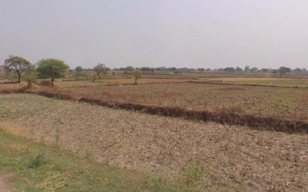 Pirda-2, Chhattisgarh 493111, India