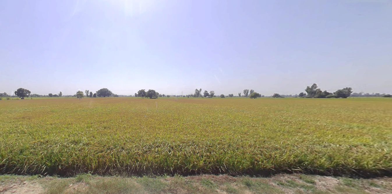 Domjur, Howrah, West Bengal, India